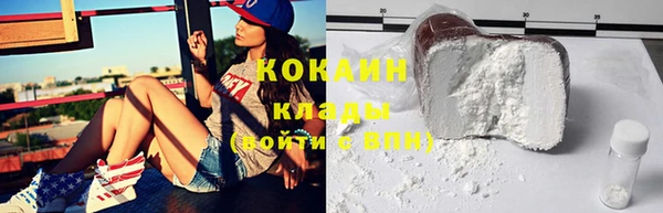 молекула духа Пестово