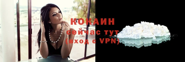 молекула духа Пестово