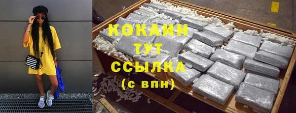 молекула духа Пестово
