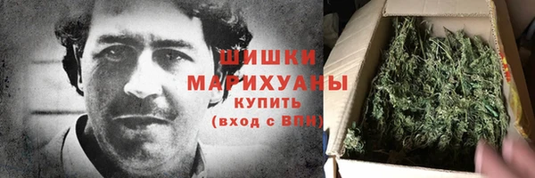 молекула духа Пестово