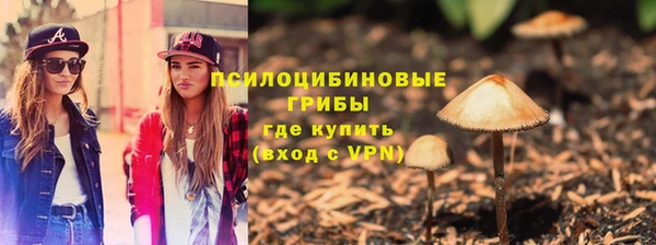 молекула духа Пестово