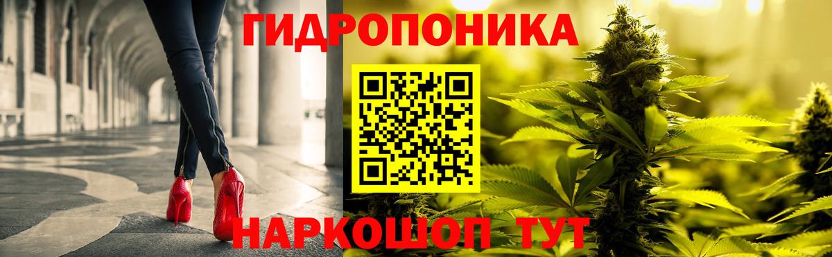 Канабис конопля Новотроицк